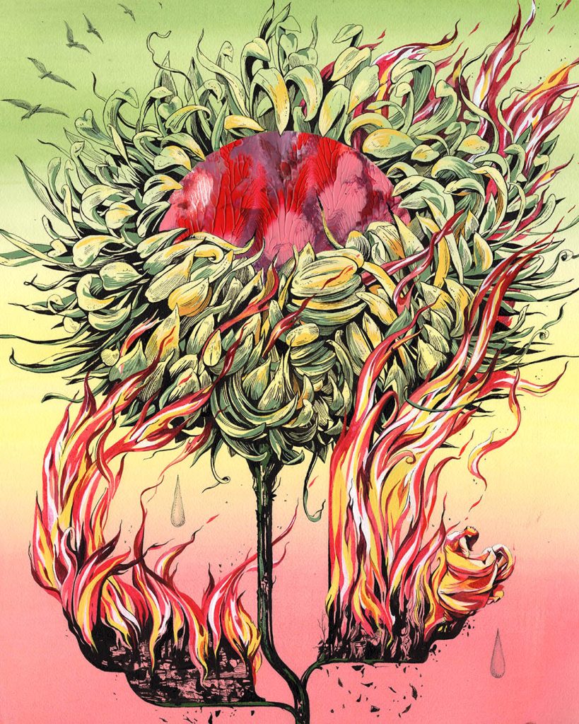 Through Ripples and Embers